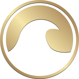 WaveCoin icon