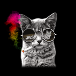 Deleted ASA icon